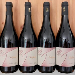 Antolini <br> Rosso Veronese IGT <br> Theobroma <br> 6 bottles