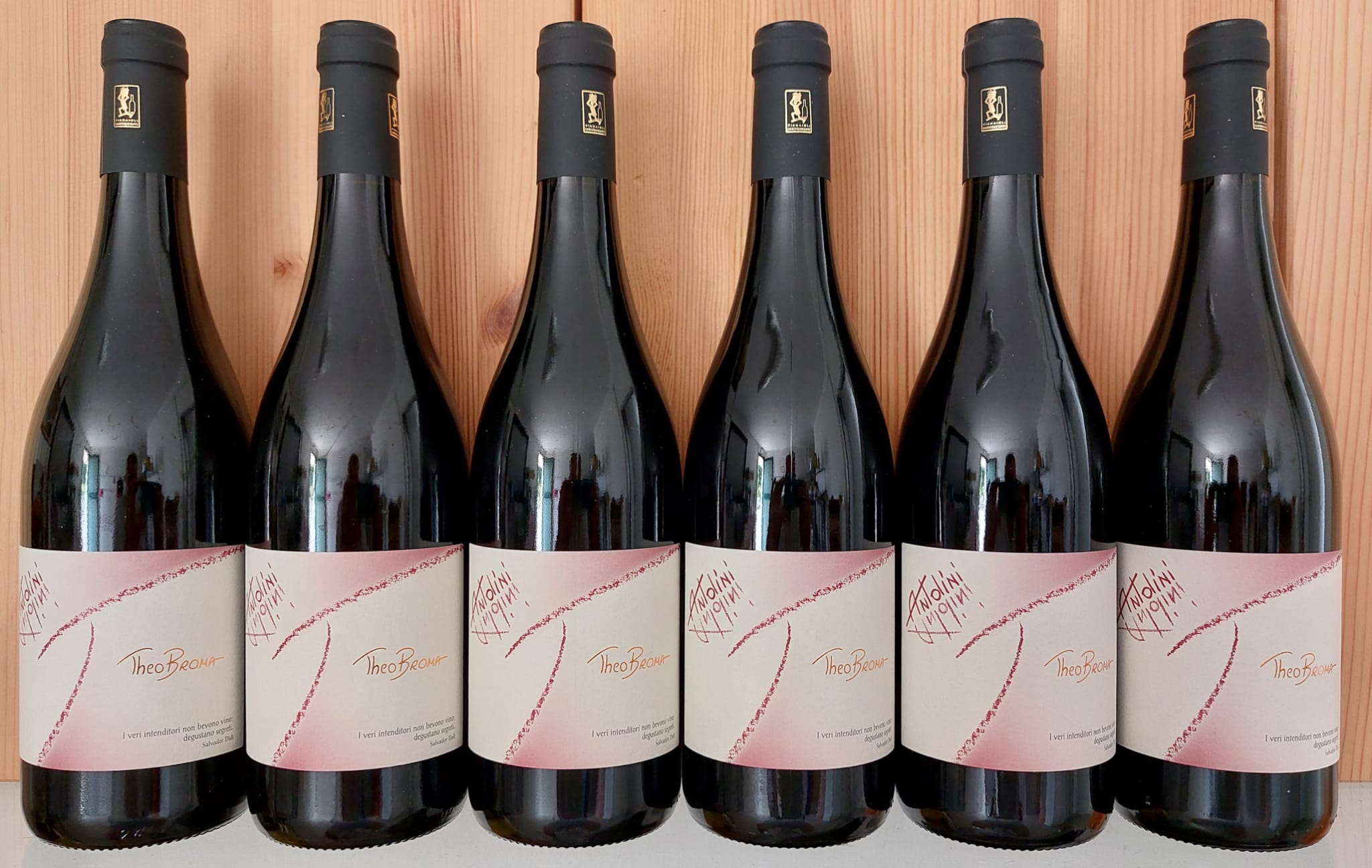 Antolini <br> Rosso Veronese IGT <br> Theobroma <br> 6 bottles