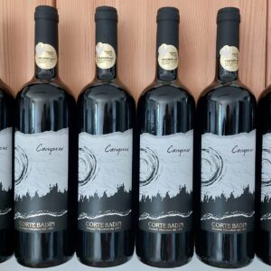 Corte Badin <br> Camponi <br> 6 bottles