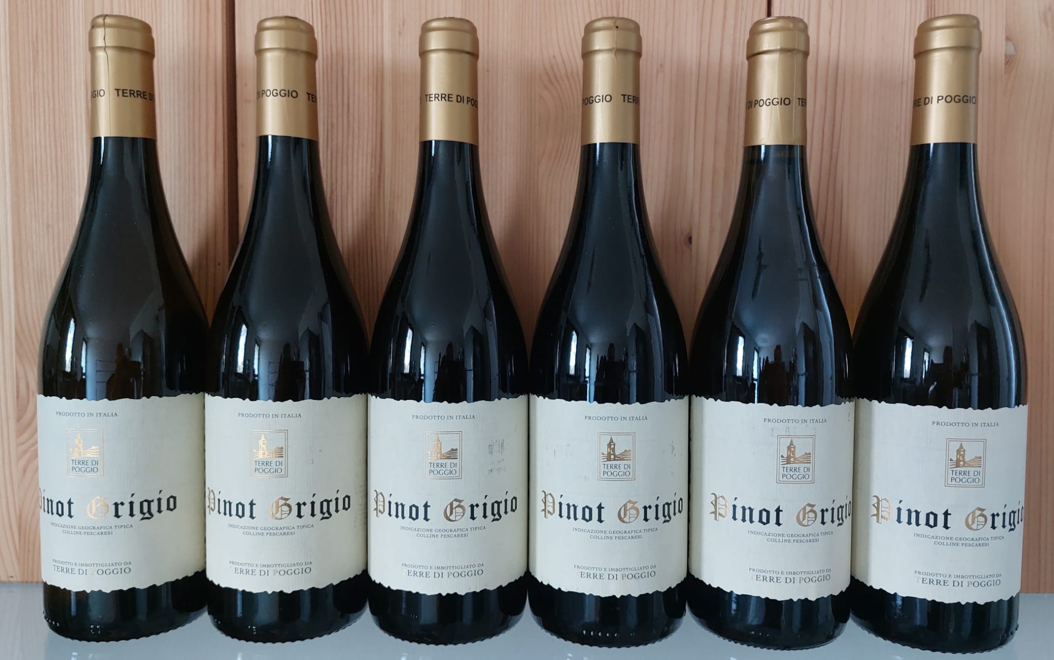 Terre di Poggio <br> Pinot Grigio <br> 6 bottles