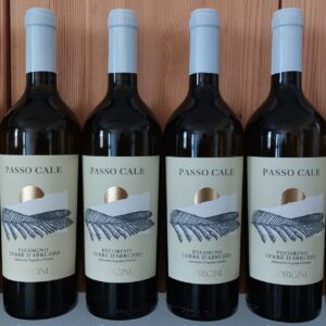 Terre di Poggio <br> Pecorino <br> 6 bottles