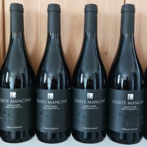 Terre di Poggio <br> Pinot Nero <br> 6 bottles